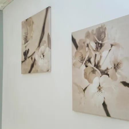 住宿加早餐酒店 Cittadella28 Like At 特拉尼