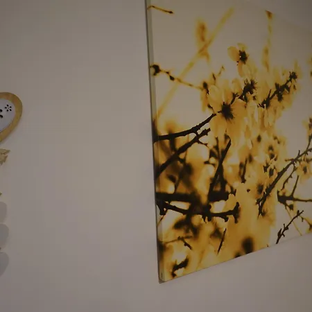 Cittadella28 Like At 特拉尼