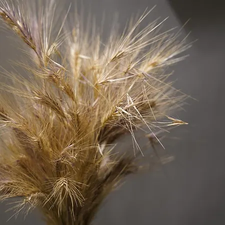 Bed & Breakfast Cittadella28 Like At