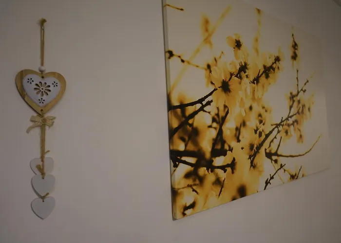 Cittadella28 Like At 特拉尼