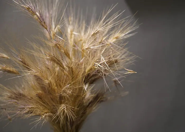 Bed & Breakfast Cittadella28 Like At